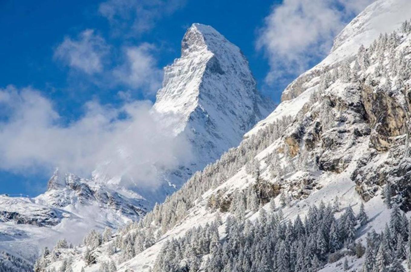 Monte Rosa Taesch, Apartments Mit Wellness Bereich Экстерьер фото