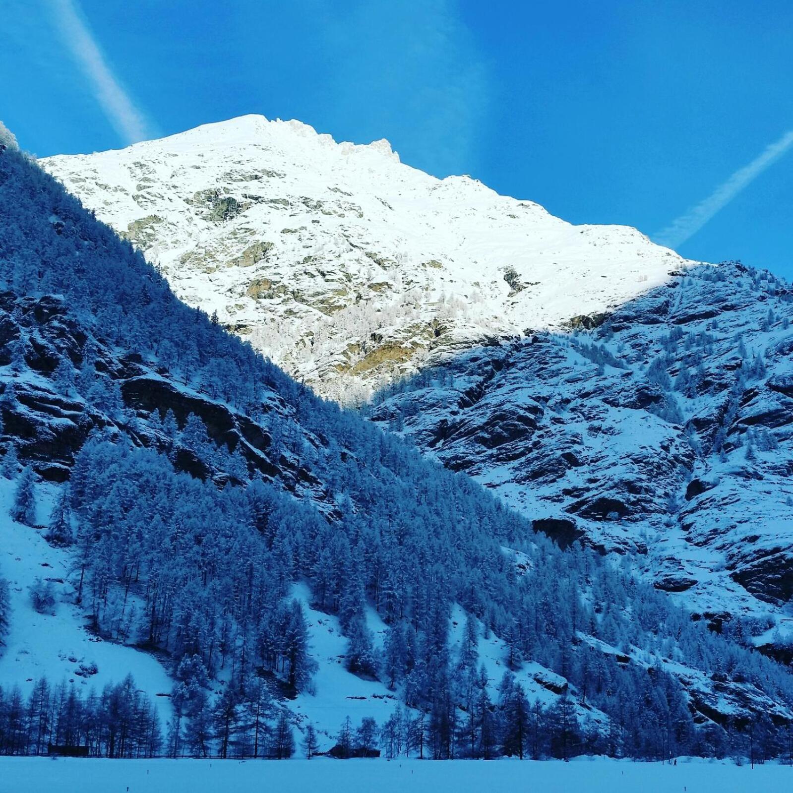 Monte Rosa Taesch, Apartments Mit Wellness Bereich Экстерьер фото
